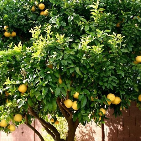 Hotel Lemon Tree Trogir Zewnętrze zdjęcie