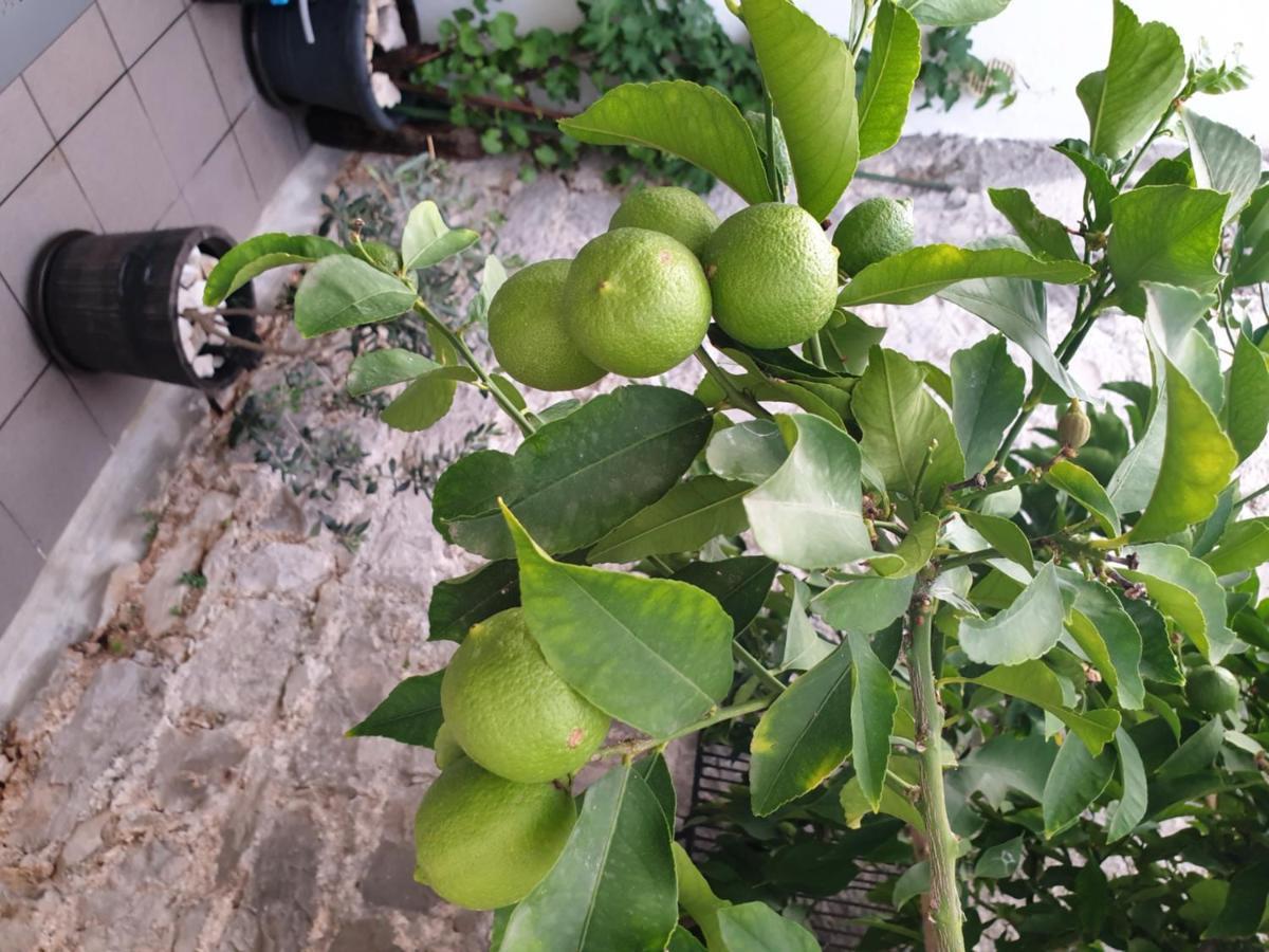 Hotel Lemon Tree Trogir Zewnętrze zdjęcie